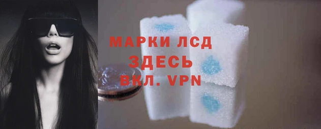 кокаин Богданович