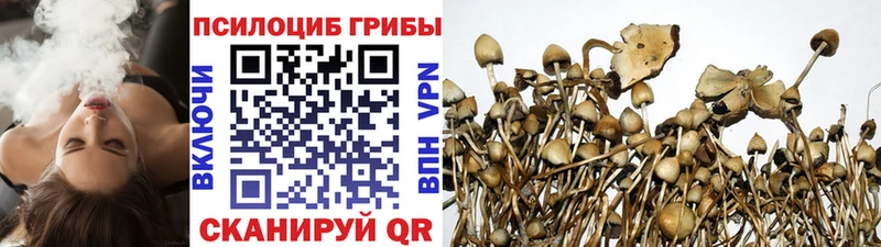 Псилоцибиновые грибы Cubensis  Гусев 