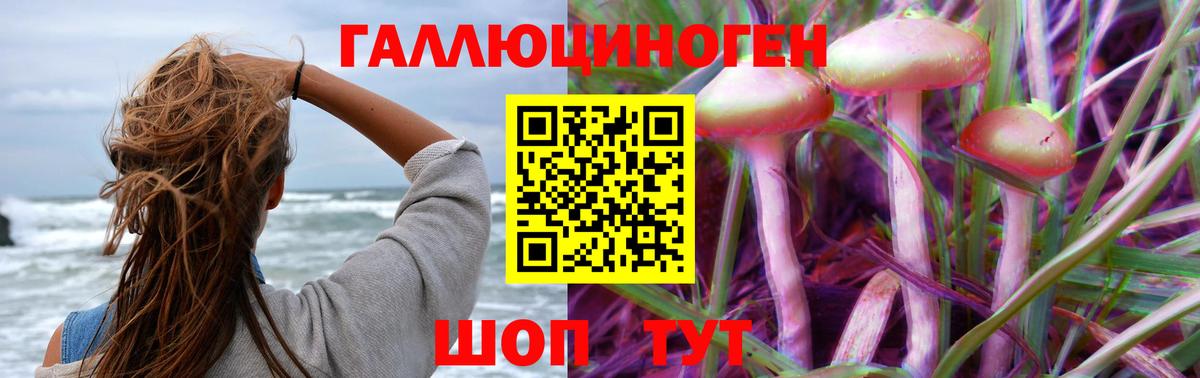 купить наркоту  Псилоцибиновые грибы Cubensis  Вход с VPN  Гусев 