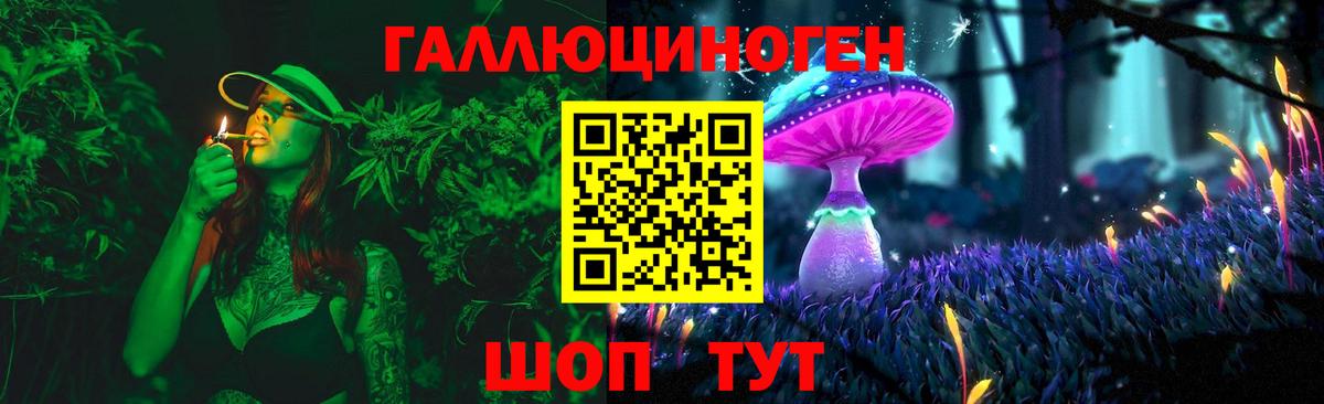 Псилоцибиновые грибы Cubensis Гусев